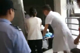 马大帅要账被扔，一场商业纠纷的无奈与反思